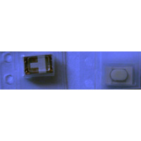 CSG1111