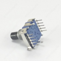 dsg1099-2 1024x1024@2x