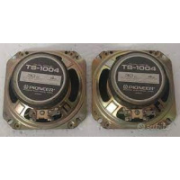 ts-1004