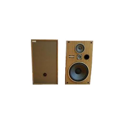 CS-G303