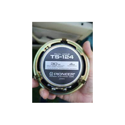 ts-124