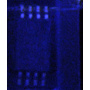 BR24L16FV-W